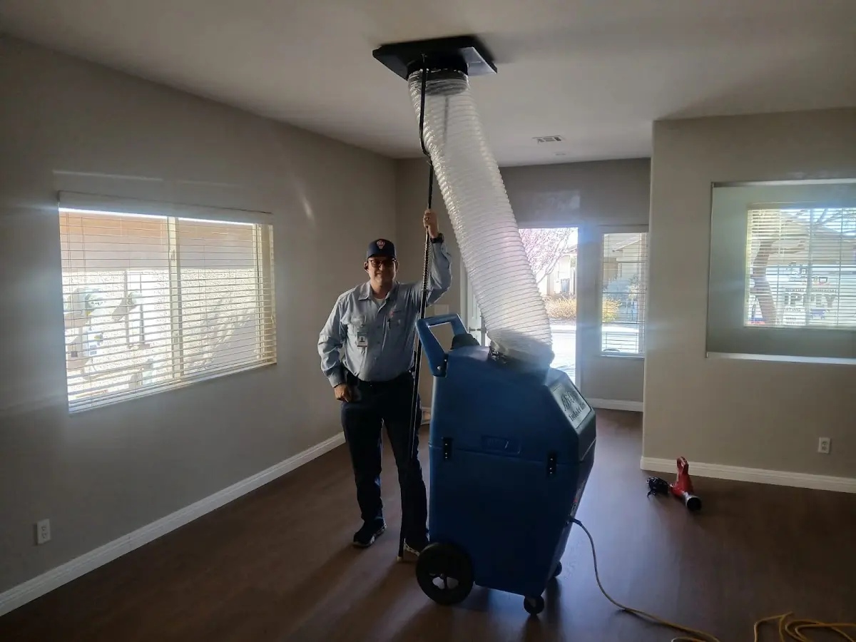 Professional Dryer Vent Cleaning work inside a Hitchcock home